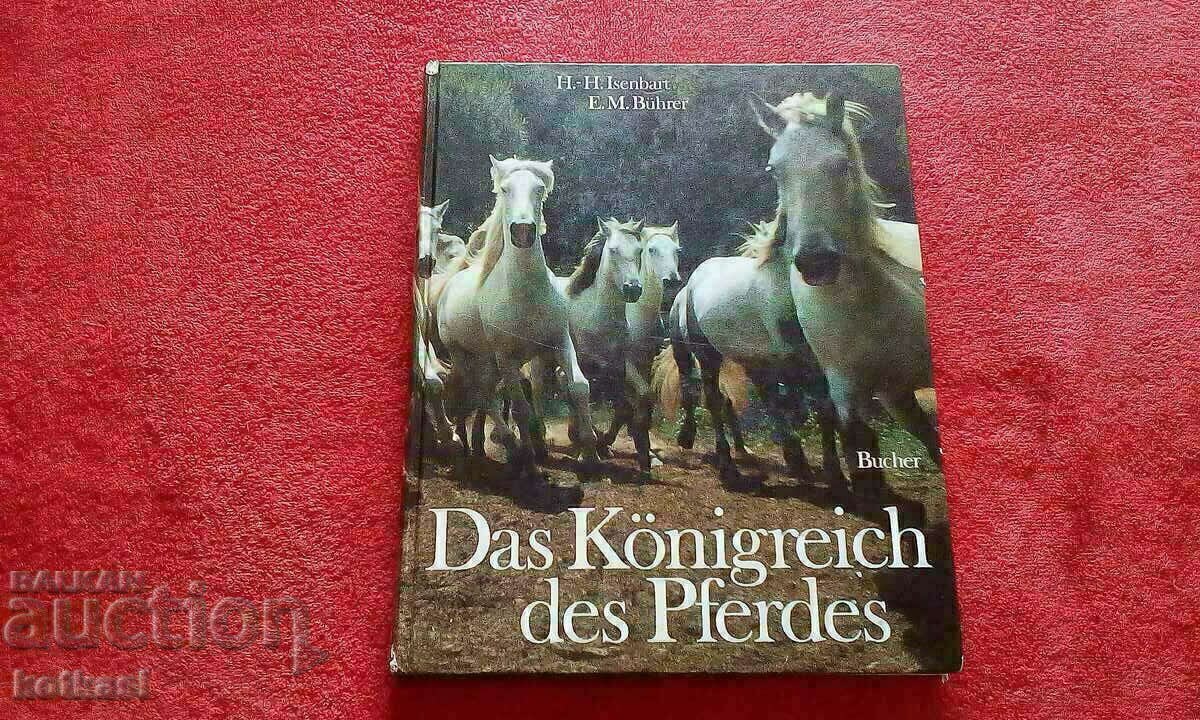 Book The Kingdom of the Horse Jockey hardcover Germany Book The Kingdom of the Horse Jockey hardcover Germany