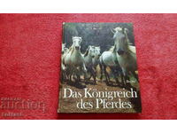 Книга Царството на коня Жокей  твърди корици Германия
