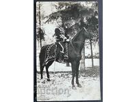 4036 Kingdom of Bulgaria guardsman on horse kalpak and saber 1930s.