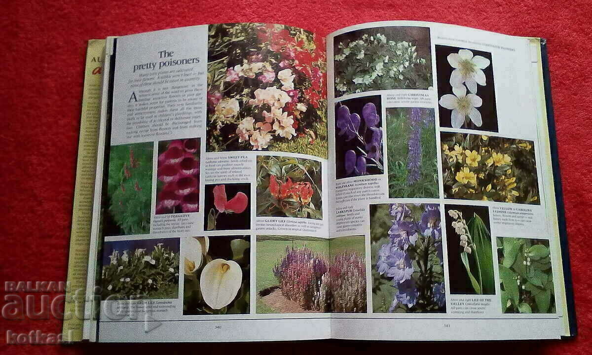 Dangerous creatures of Australia Germany excellent condition with price 21.00 BGN | € 10.74 Dangerous creatures of Australia Germany excellent condition with price 21.00 BGN | € 10.74