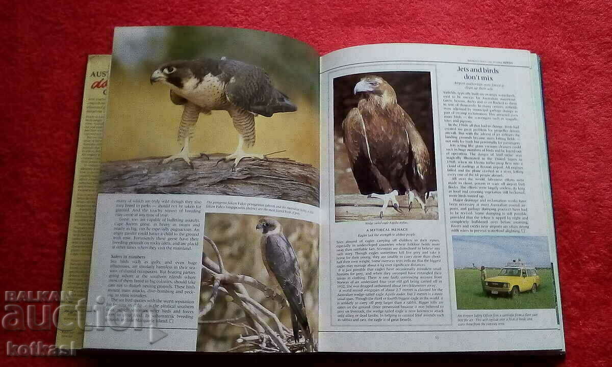 Dangerous creatures of Australia Germany excellent condition - 6 Dangerous creatures of Australia Germany excellent condition - 6