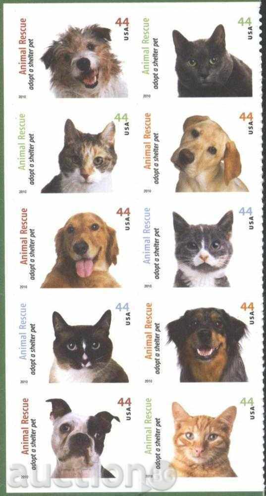 Purebred Dogs and Cats 2010 from USA