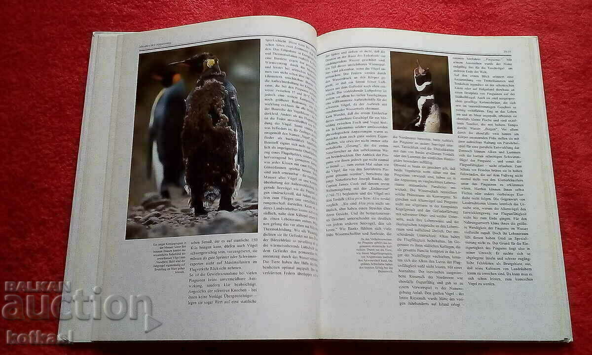 Penguins Book hardcover excellent condition Germany with price 10.50 BGN | € 5.37 Penguins Book hardcover excellent condition Germany with price 10.50 BGN | € 5.37