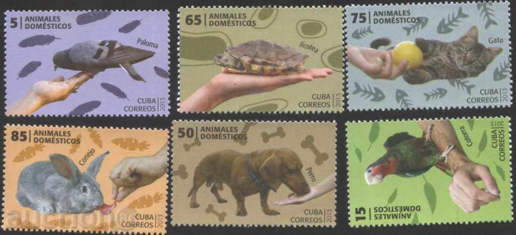 Pure Stamps Fauna Pets 2013 din Cuba