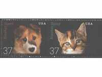 Pure Brands Dog and Cat 2002 din SUA