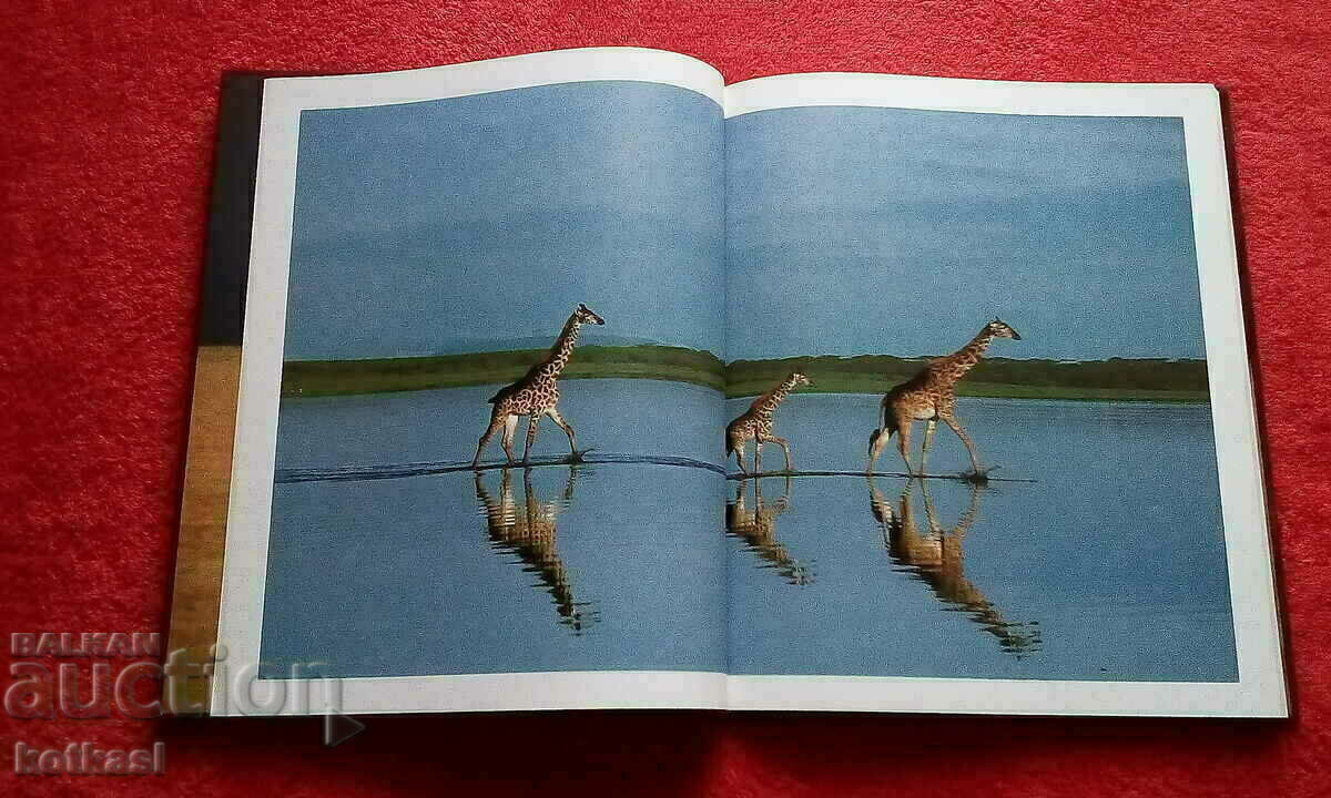 Heritage of Humanity South Africa UNESCO Excellent with price 16.00 BGN | € 8.18 Heritage of Humanity South Africa UNESCO Excellent with price 16.00 BGN | € 8.18