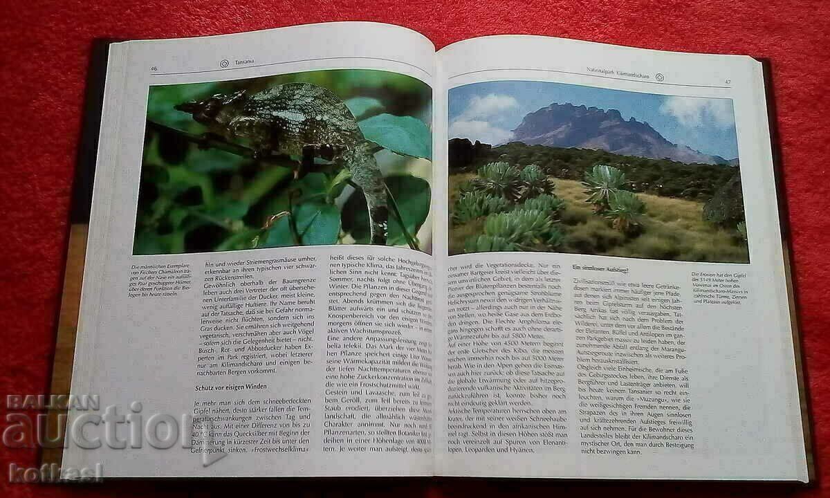 Delivery of Heritage of Humanity South Africa UNESCO Excellent Delivery of Heritage of Humanity South Africa UNESCO Excellent