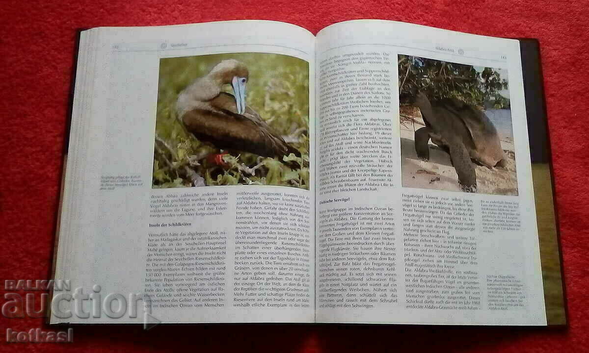 Heritage of Humanity South Africa UNESCO Excellent - 5 Heritage of Humanity South Africa UNESCO Excellent - 5