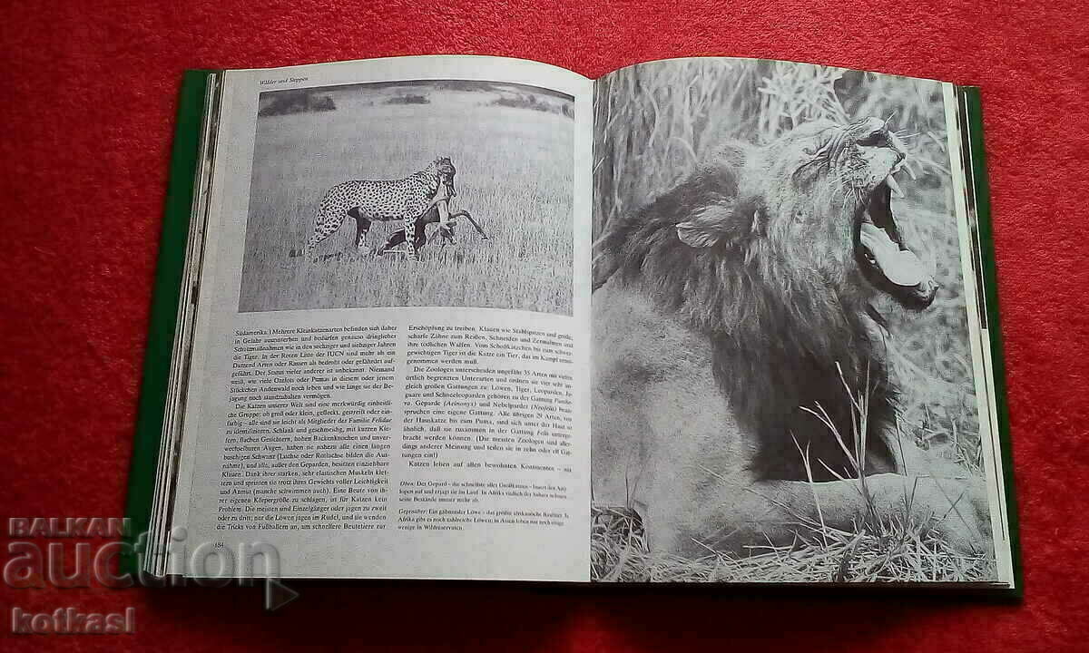 Animal Rescue Tweedy covers glossy pages with price 10.50 BGN | € 5.37 Animal Rescue Tweedy covers glossy pages with price 10.50 BGN | € 5.37