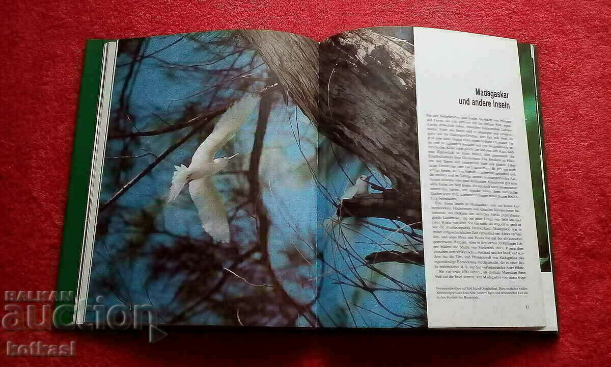 Delivery of Animal Rescue Tweedy covers glossy pages Delivery of Animal Rescue Tweedy covers glossy pages