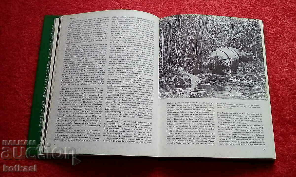 Animal Rescue Tweedy covers glossy pages - 5 Animal Rescue Tweedy covers glossy pages - 5