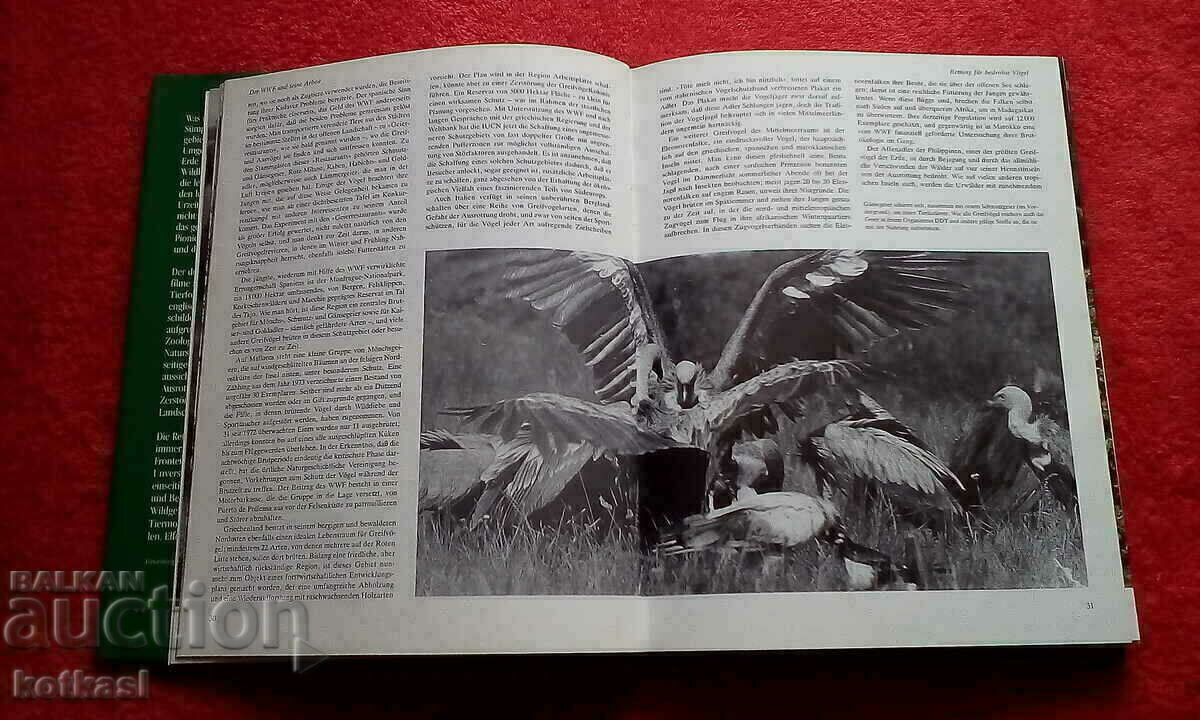 Animal Rescue Tweedy covers glossy pages - 6 Animal Rescue Tweedy covers glossy pages - 6