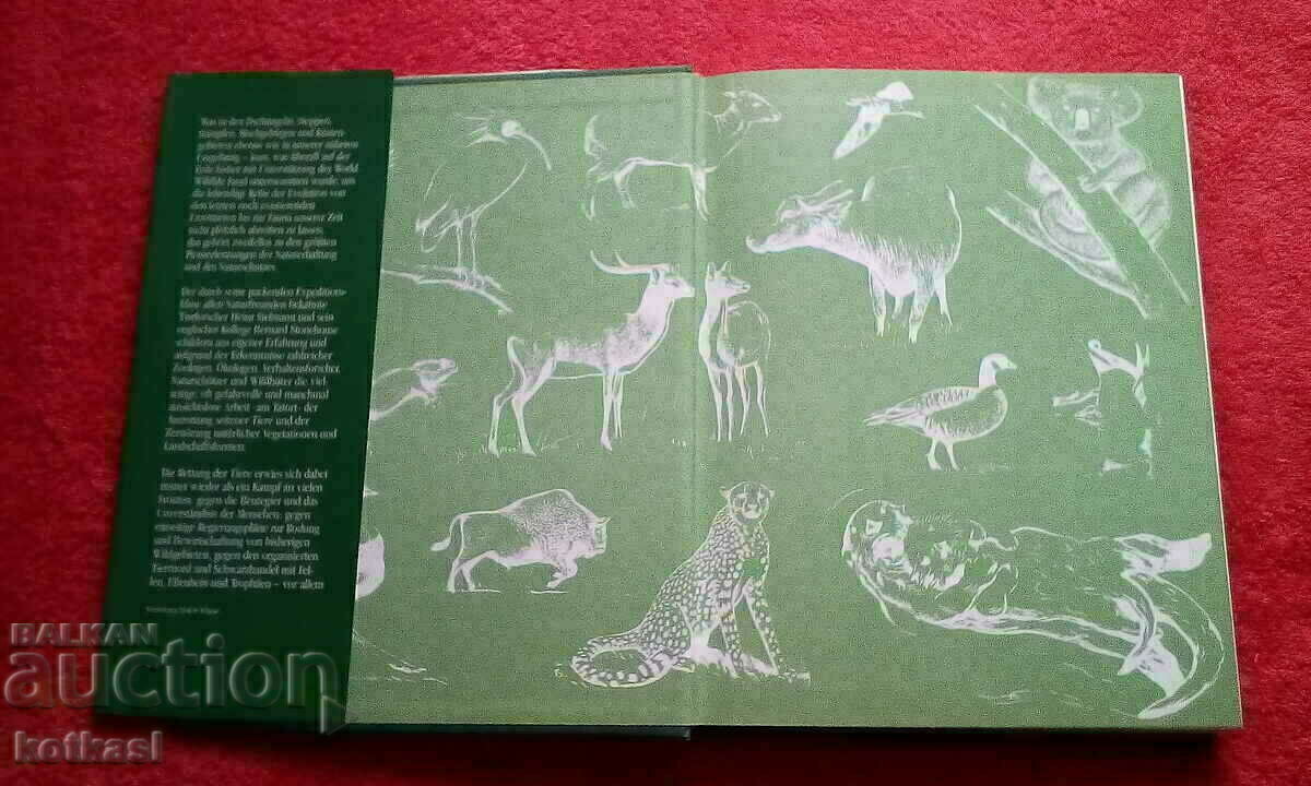 Animal Rescue Tweedy covers glossy pages - 7 Animal Rescue Tweedy covers glossy pages - 7