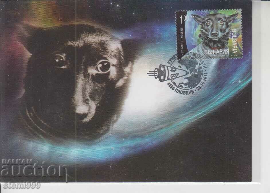 Postcard FDC Cosmos Dogs