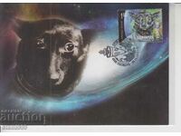 Carte poștală FDC Cosmos Dogs