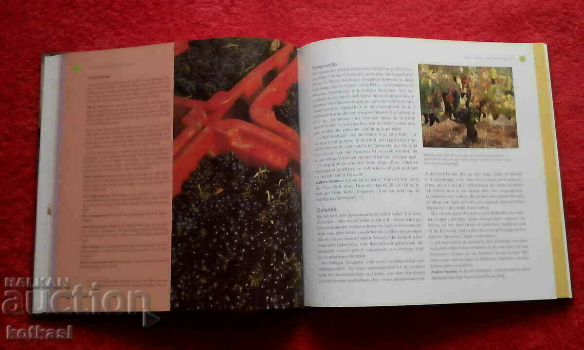 My New School of Wine A book about wine, the vineyard, drinking - 5 My New School of Wine A book about wine, the vineyard, drinking - 5