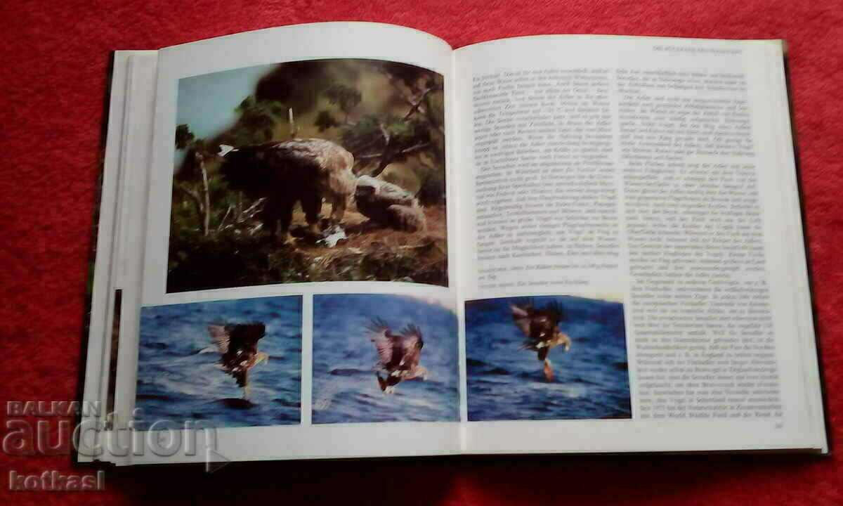 Delivery of Reports from the animal world Lexicon Encyclopedia Delivery of Reports from the animal world Lexicon Encyclopedia