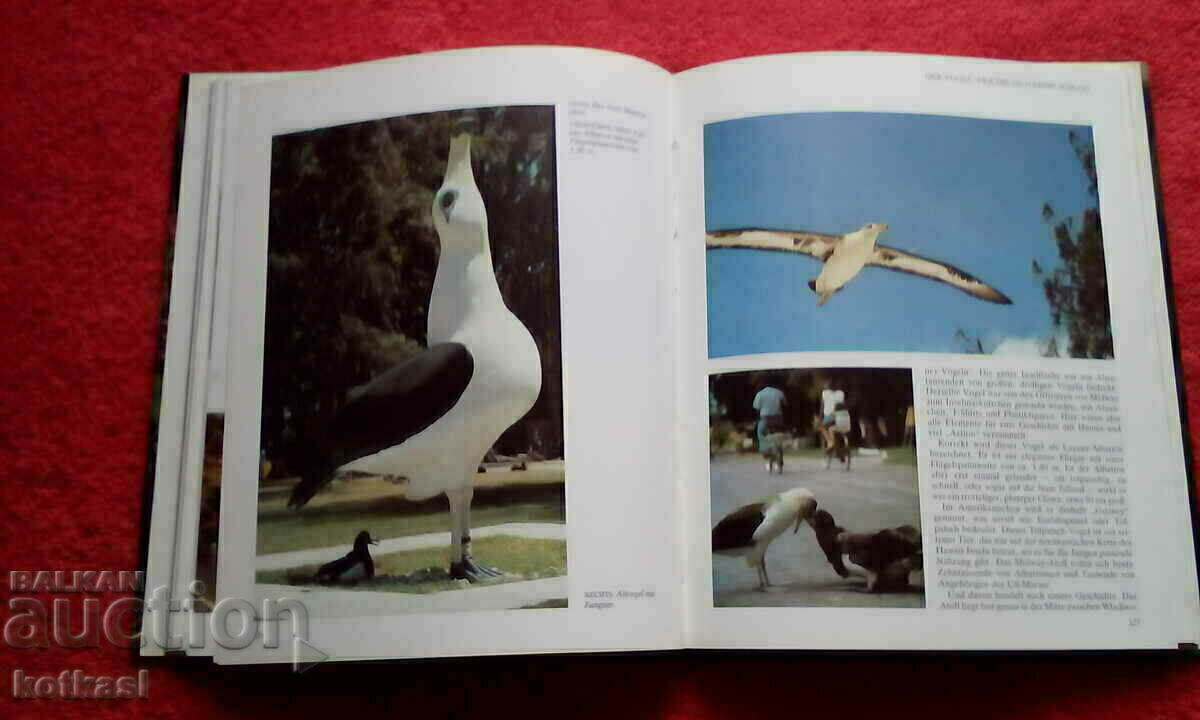 Reports from the animal world Lexicon Encyclopedia - 5 Reports from the animal world Lexicon Encyclopedia - 5