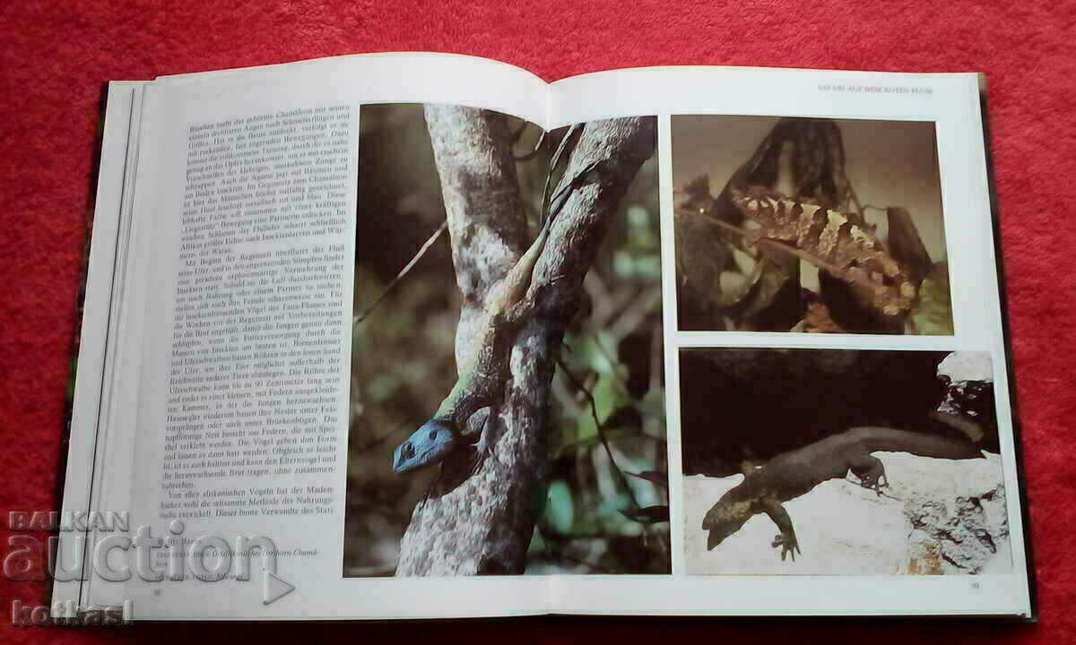 Reports from the animal world Lexicon Encyclopedia - 7 Reports from the animal world Lexicon Encyclopedia - 7