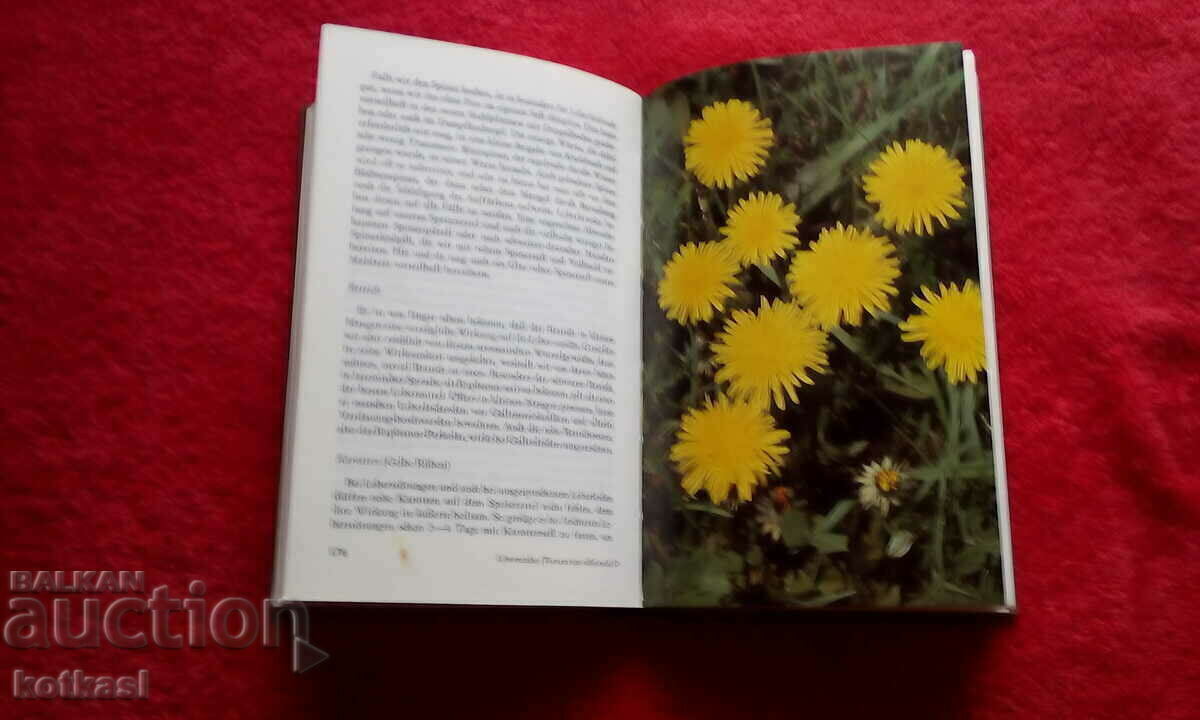 Book The liver as a regulator of health with price 21.00 BGN | € 10.74 Book The liver as a regulator of health with price 21.00 BGN | € 10.74