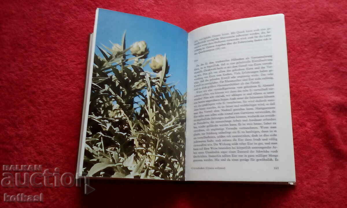 Auction Book The liver as a regulator of health Auction Book The liver as a regulator of health