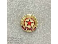 Old CSKA Red Flag badge