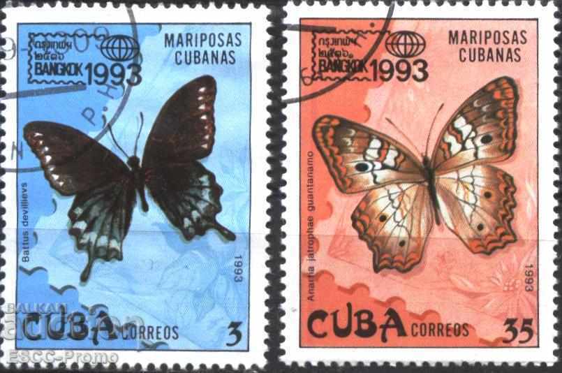 Branded stamps Fauna Butterflies 1993 from Cuba