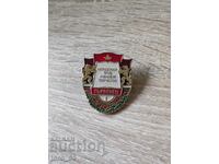 Награден знак "младежки труд , учение и творчество"