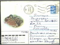 Travel envelope New Year Squirrels 1986 from the USSR