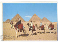 Egypt - Giza - Arab camel drivers in front of pyramids - 1993