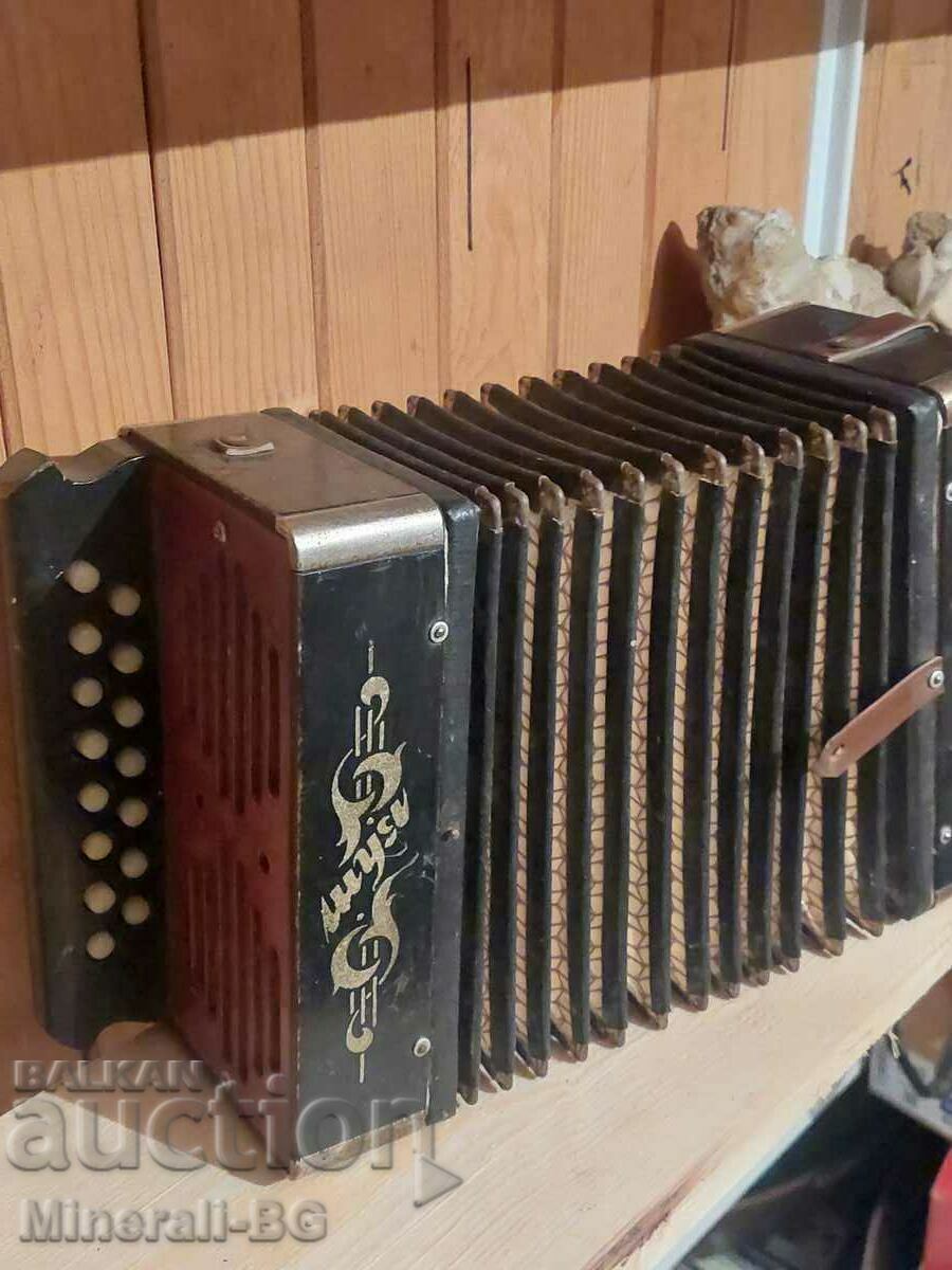 Mini accordion.