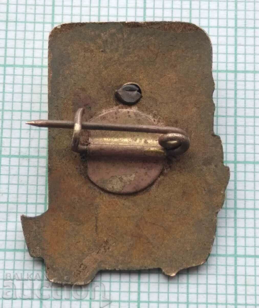 Auction  14578 Badge - DKMS Komsomol Hristo Botev - bronze enamel