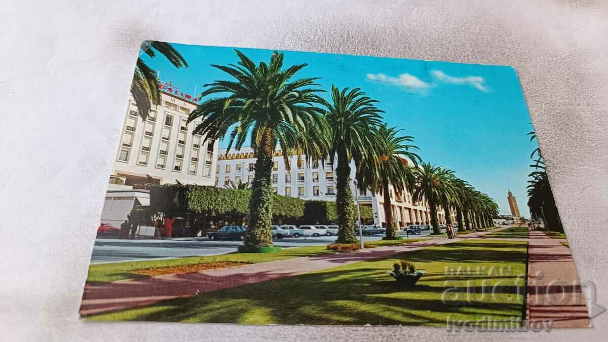 Carte poștală Rabat L'Avenue Mohamed V 1974