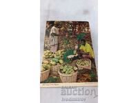Carte poștală Nigeria recoltând cacao 1982