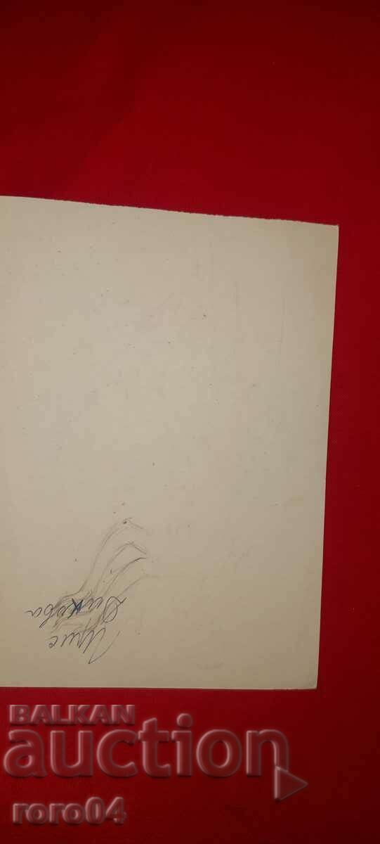 IRIS DIKOVA - ILLUSTRATION - SHOWER - 5 IRIS DIKOVA - ILLUSTRATION - SHOWER - 5