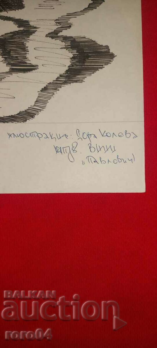 Auction  DORA KOLEVA - ILLUSTRATION - SHOWER