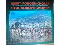 Gramophone record. DANPT Smolyan