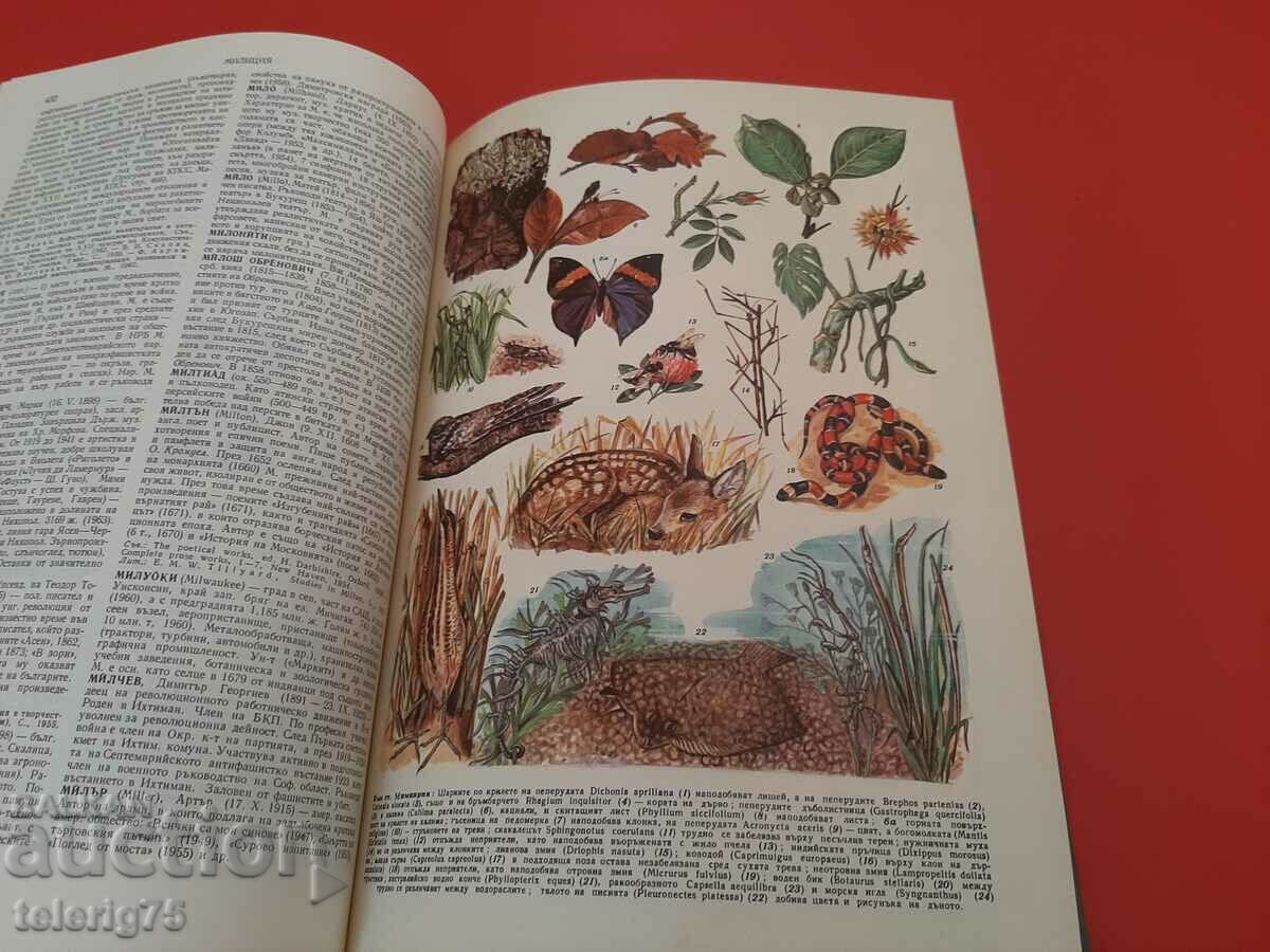 Auction  Short Bulgarian Encyclopedia-BAS-Volume 3-1966.