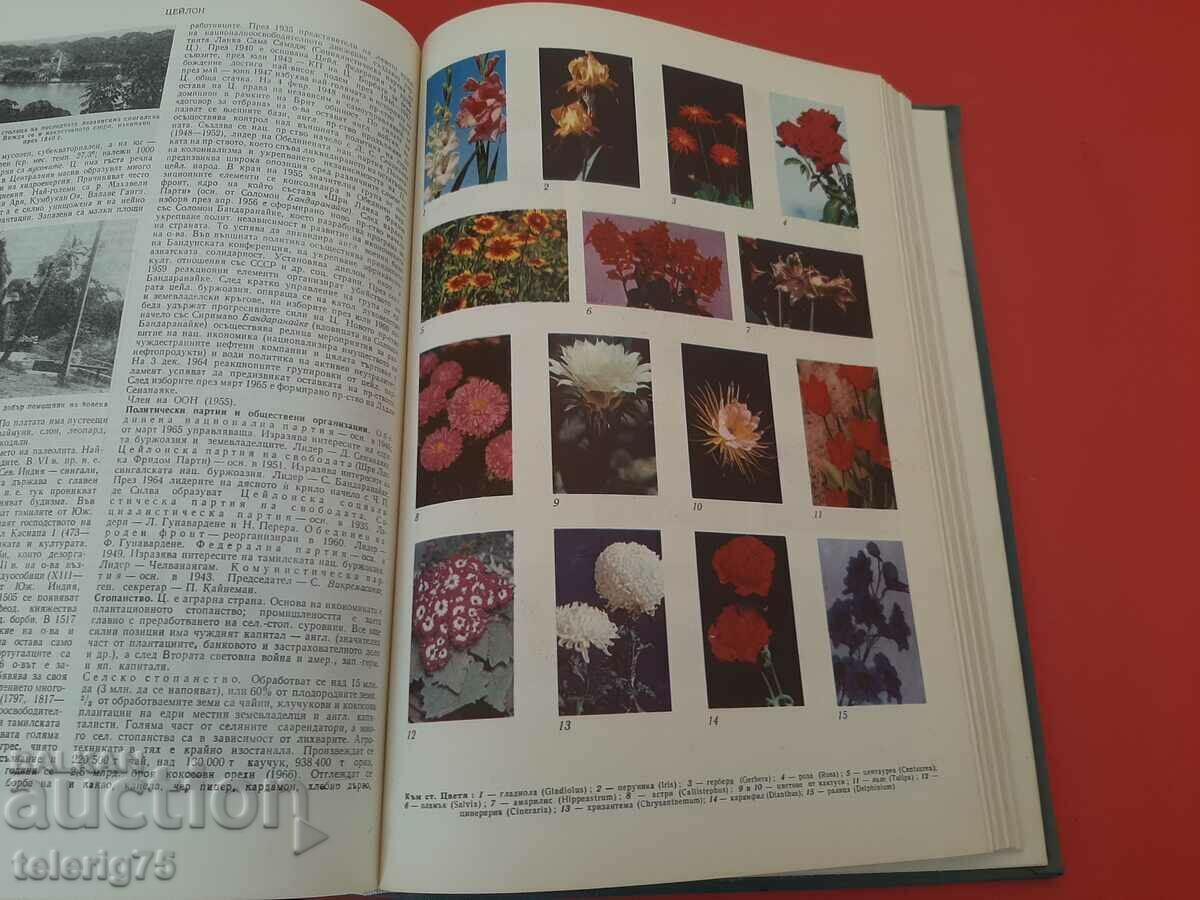 Auction Short Bulgarian Encyclopedia-BAS-Volume 5-1969. Auction Short Bulgarian Encyclopedia-BAS-Volume 5-1969.