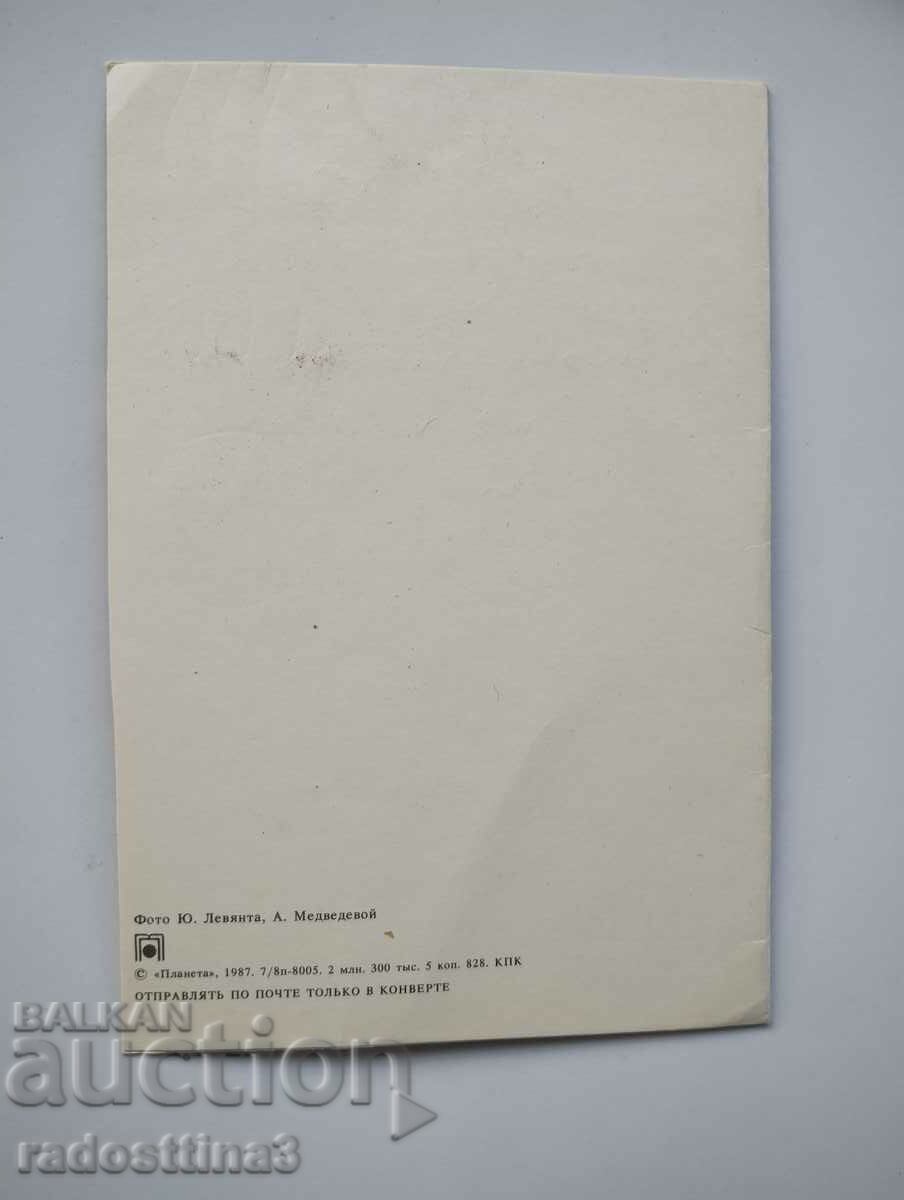 Felicitare de la soca cu preț 0.99 BGN | € 0.51 Felicitare de la soca cu preț 0.99 BGN | € 0.51