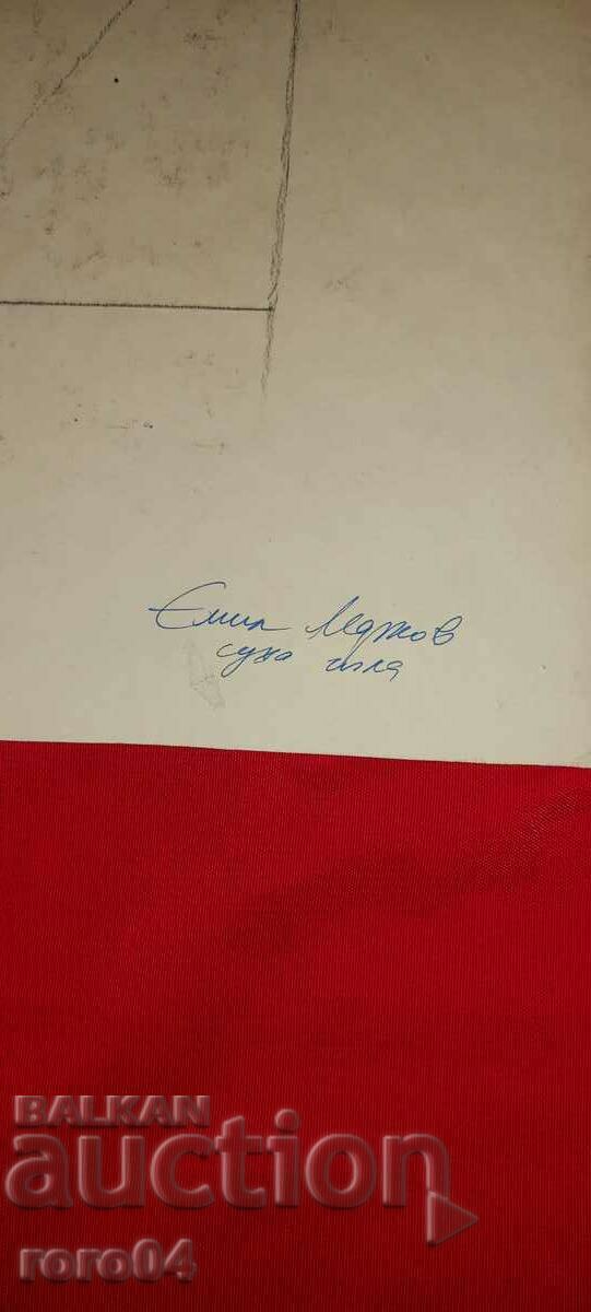 EMIL MARKOV - ILLUSTRATION - DRY NEEDLE - 5