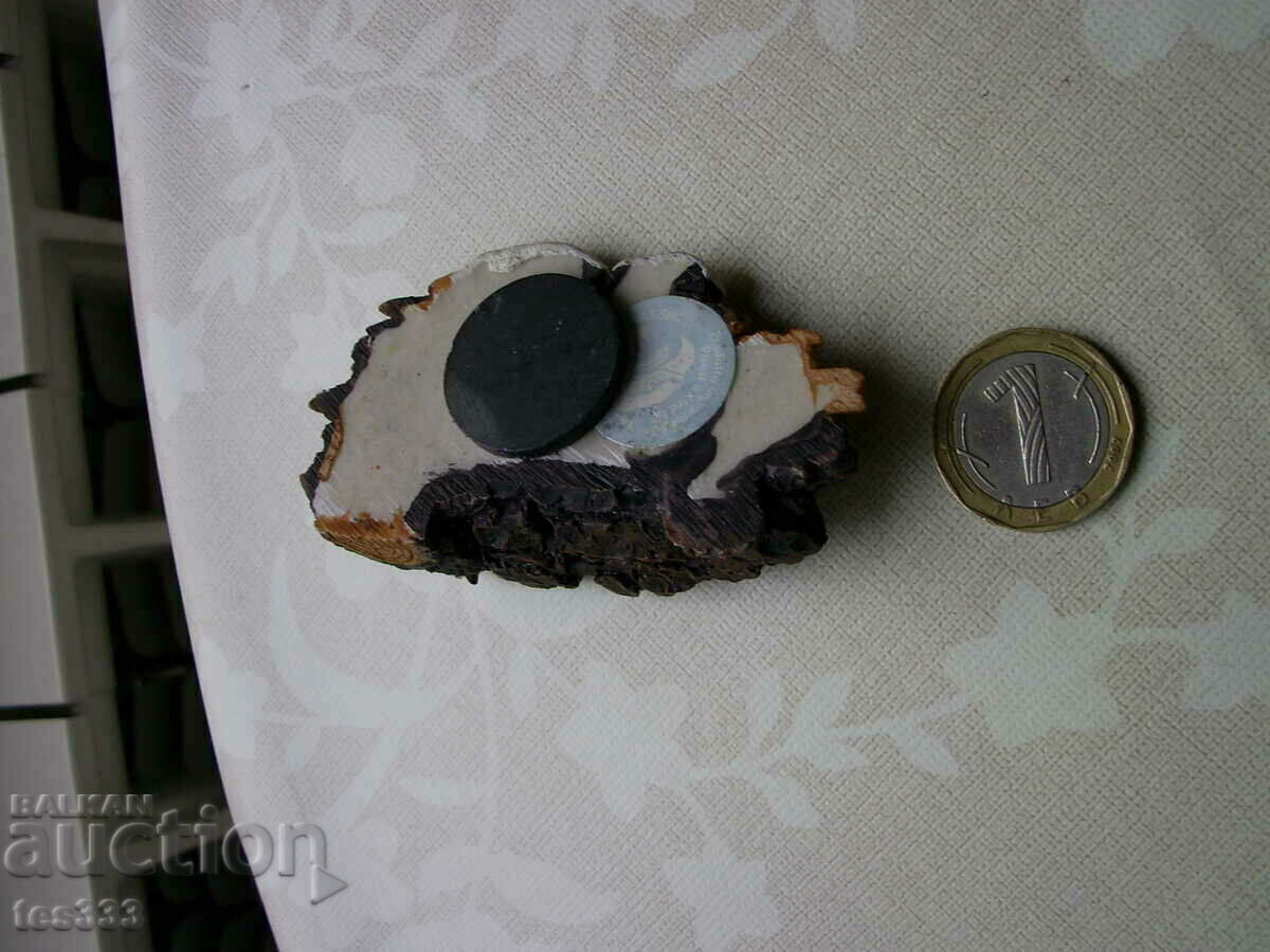 Magnet de frigider Pinzolu - 5 Magnet de frigider Pinzolu - 5