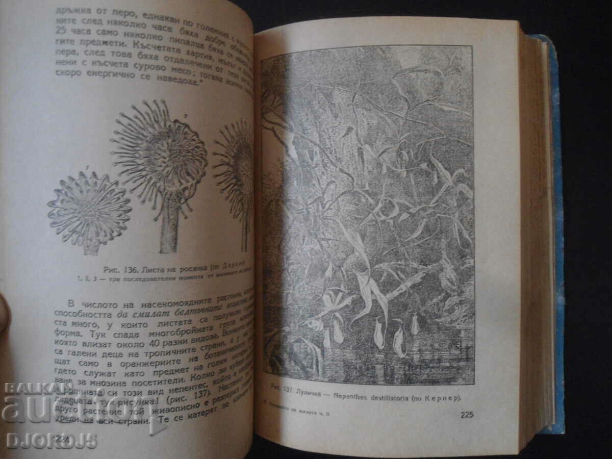 Auction The basics of life, Prof. V. V. Lunkevich Auction The basics of life, Prof. V. V. Lunkevich