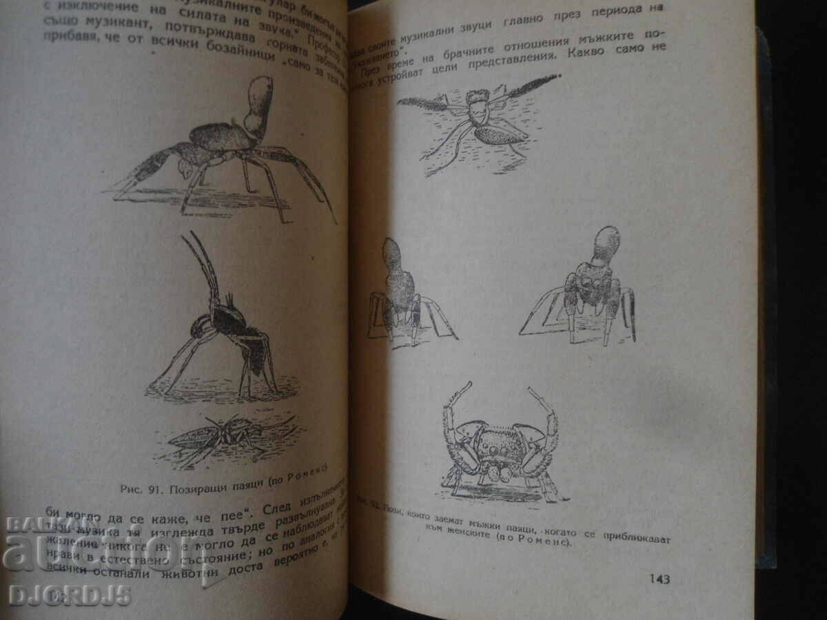 Delivery of The basics of life, Prof. V. V. Lunkevich Delivery of The basics of life, Prof. V. V. Lunkevich