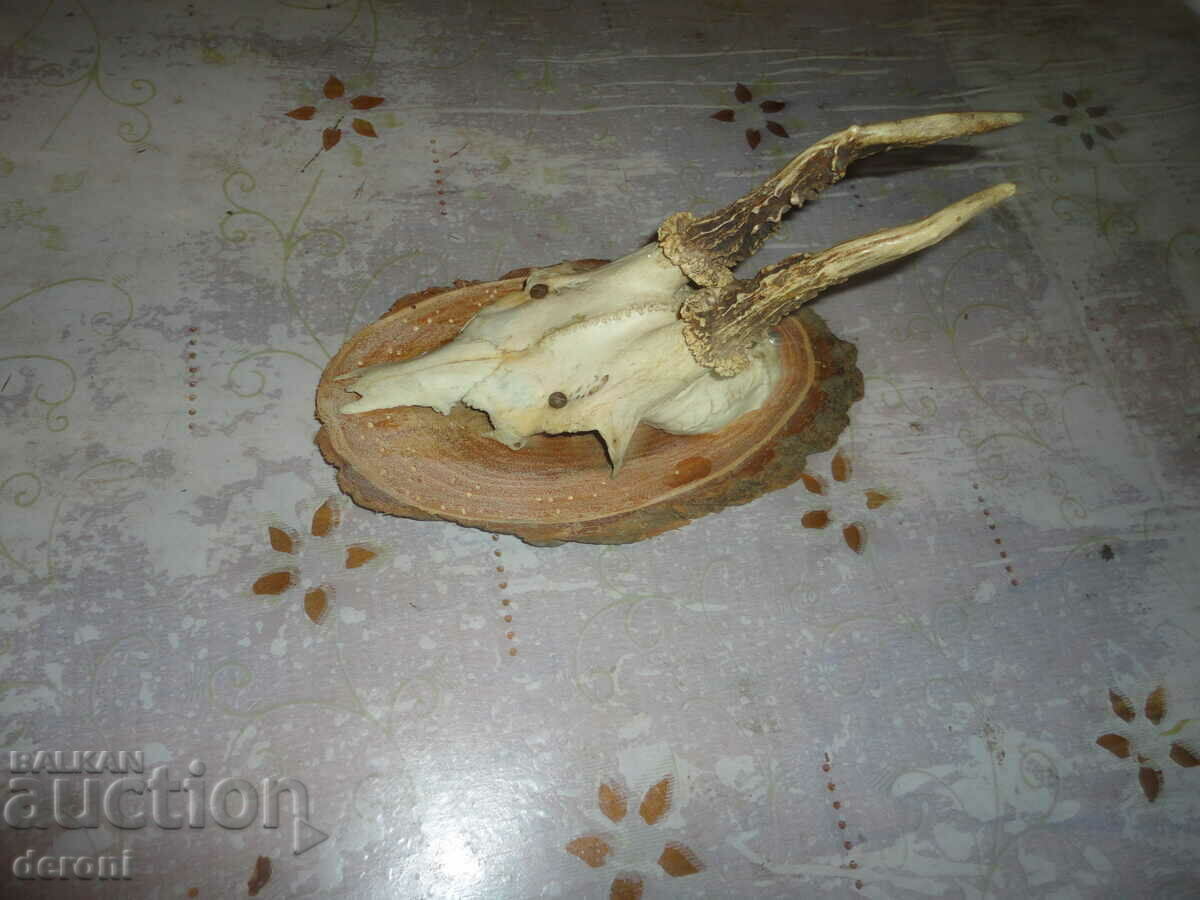 Livrarea Trofeul antic de vânătoare 2