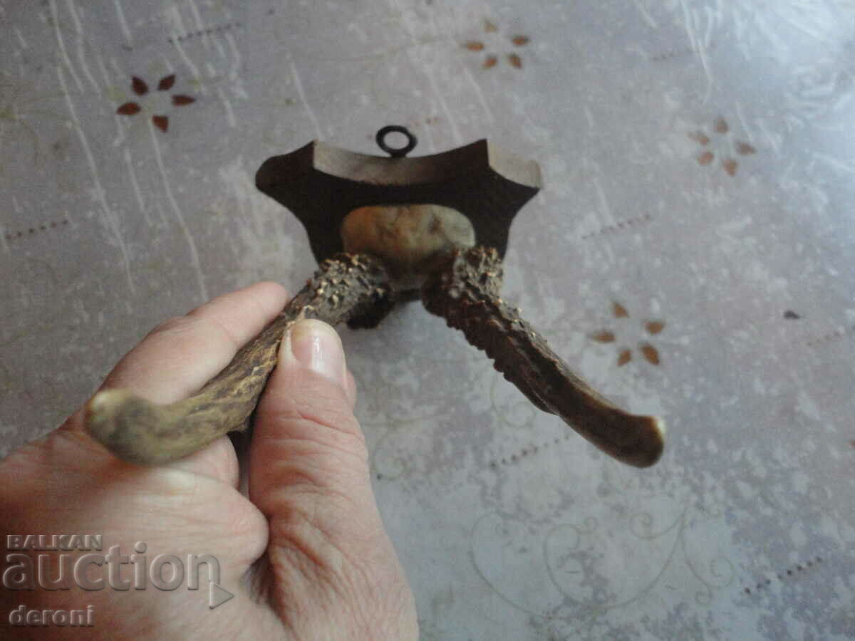 Antique hunting trophy 19th century - 5