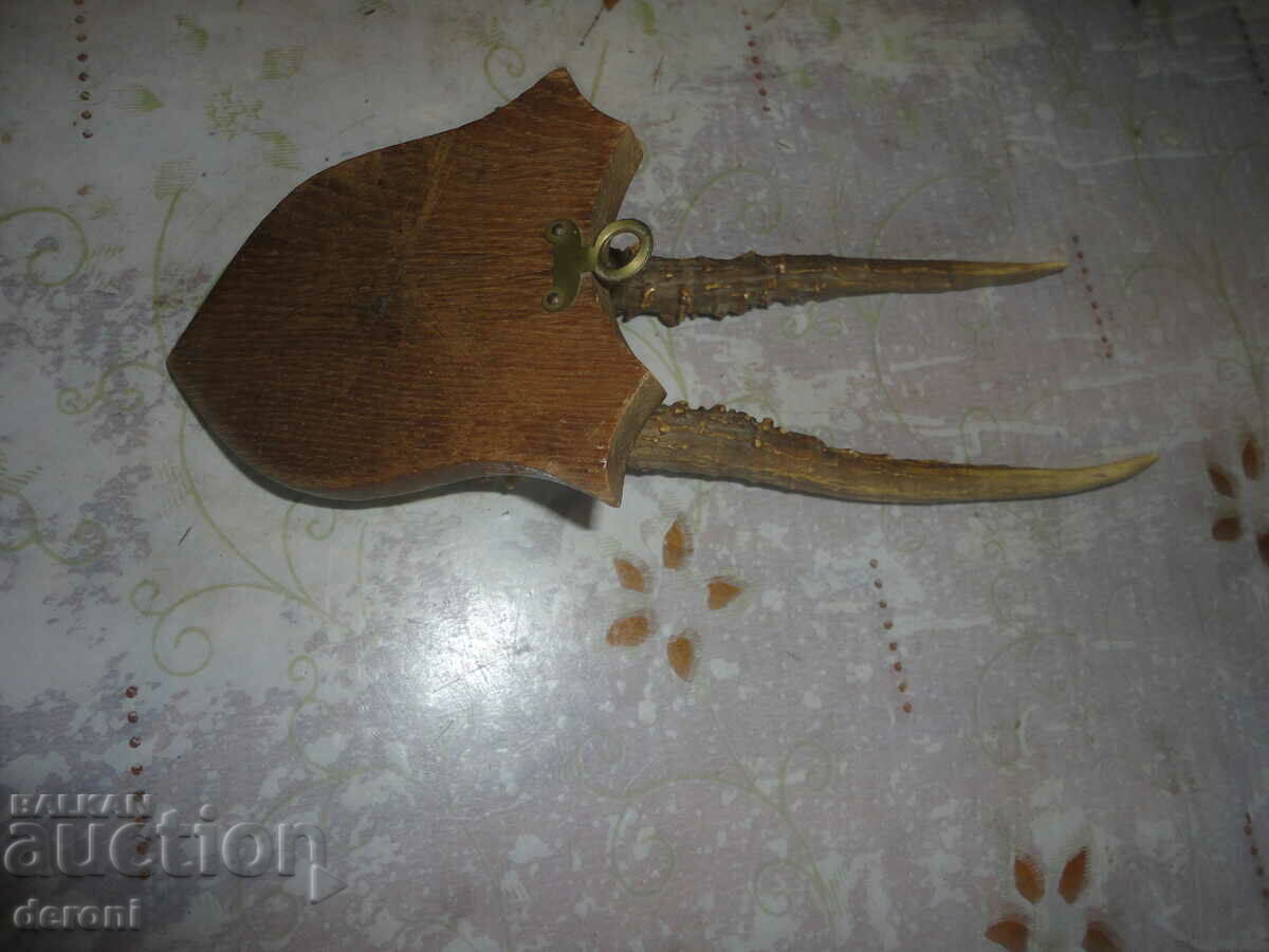 Antique hunting trophy 19th century - 6