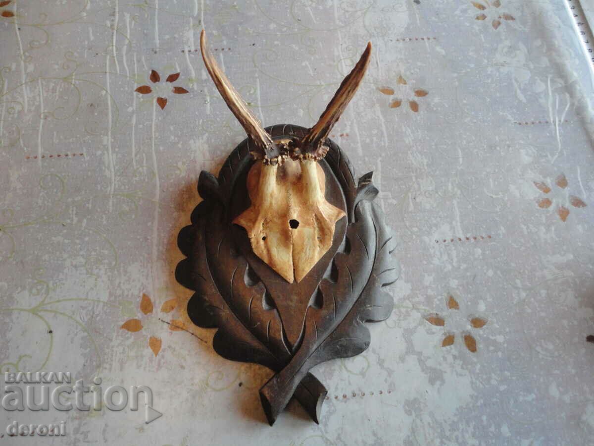 Δημοπρασία Καταπληκτική ξυλογλυπτική κυνηγετικό τρόπαιο Δημοπρασία Καταπληκτική ξυλογλυπτική κυνηγετικό τρόπαιο