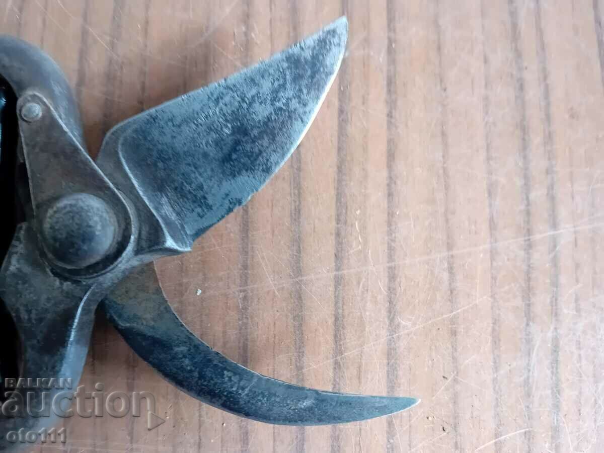 OLD GERMAN VINEYARD SCISSORS - KUNDE - 5 OLD GERMAN VINEYARD SCISSORS - KUNDE - 5