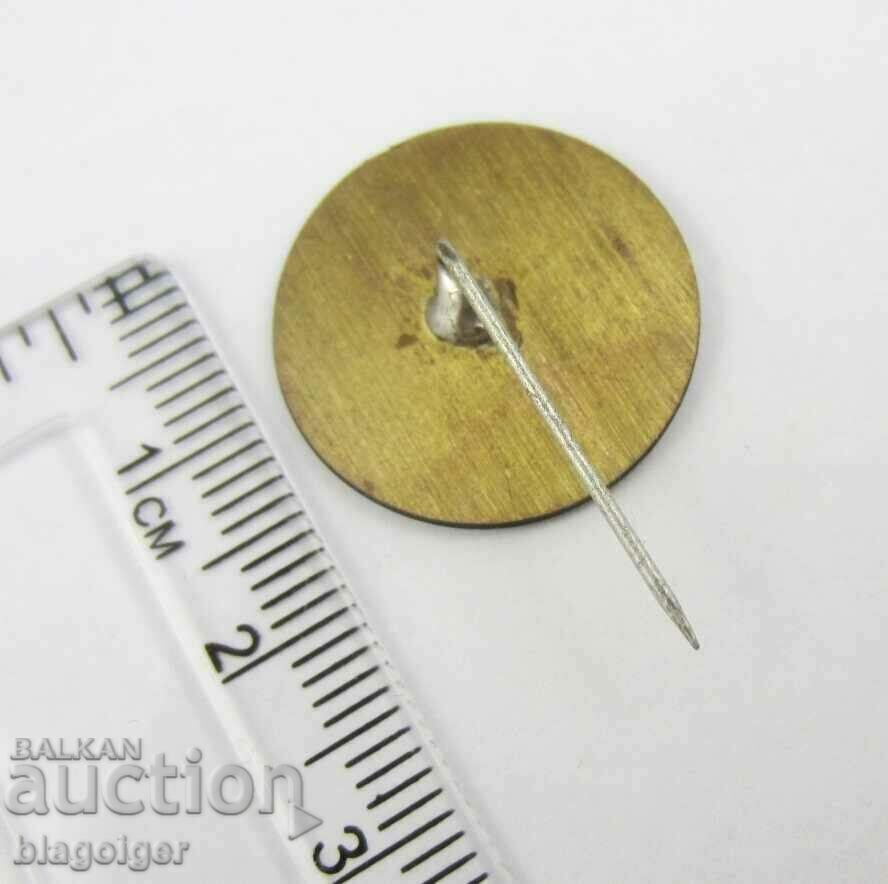 Party Bulgarian Democratic Forum - National Legions with price 6.99 BGN | € 3.57 Party Bulgarian Democratic Forum - National Legions with price 6.99 BGN | € 3.57